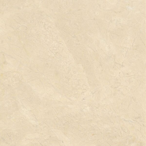 Adonis Beige